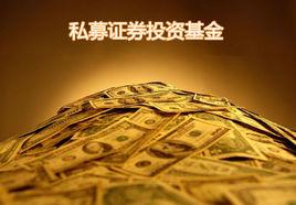 私募證券投資基金 私募證券投資基金