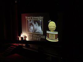 第36屆金酸莓獎 第36屆金酸莓獎