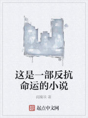這是一部反抗命運的小說 這是一部反抗命運的小說