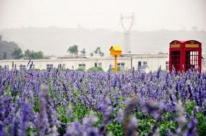 匯馨芳香世界 匯馨芳香世界