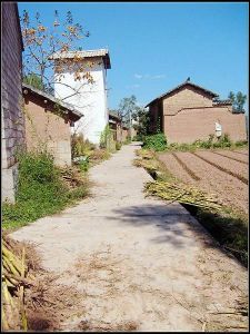 新勝侯家營村 新勝侯家營村