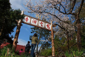 阿里山慈雲寺