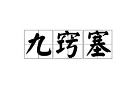 九竅塞 九竅塞