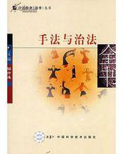 手法與治法全書