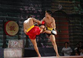 中國武術散打 中國武術散打