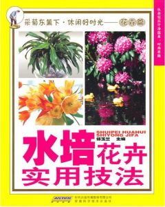 水培花卉實用技法 水培花卉實用技法