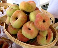 金山蟠桃外觀特點