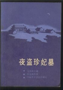 夜盜珍妃墓 夜盜珍妃墓