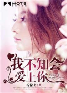 我不知會愛上你 我不知會愛上你