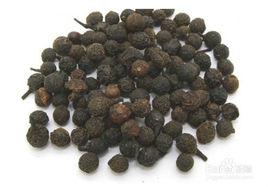 樟樹子[樟樹子]