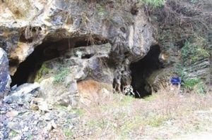 印渚埠組 印渚埠組