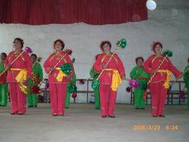 萊西花棍 萊西花棍