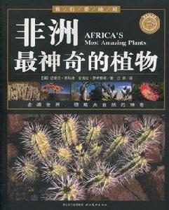 非洲最神奇的植物 非洲最神奇的植物