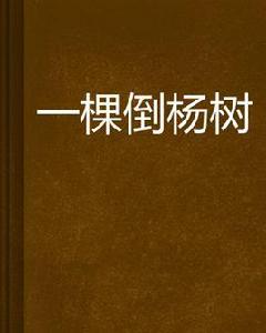 一棵倒楊樹 一棵倒楊樹