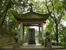 桐君山藥祖聖地