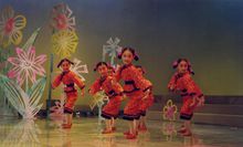 南京小紅花藝術團