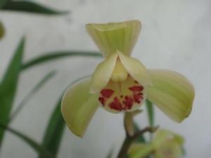 薛進澤 提供圖片