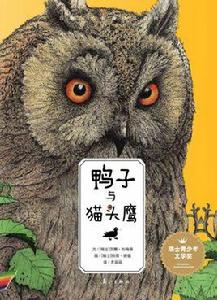 鴨子與貓頭鷹 鴨子與貓頭鷹