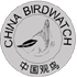 中國觀鳥網 中國觀鳥網