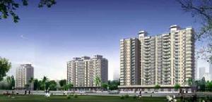 鸚鵡花園六期 鸚鵡花園六期