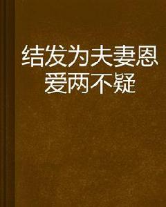 結髮為夫妻恩愛兩不疑[瑴小妮創作都市言情小說]