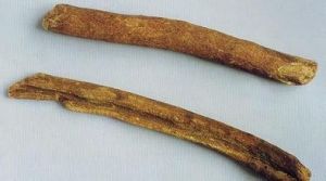 川木香屬 川木香屬