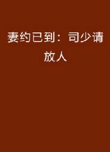 妻約已到:司少請放人 妻約已到:司少請放人