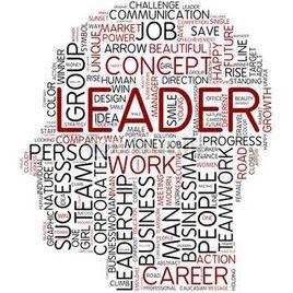 戰略領導者 戰略領導者