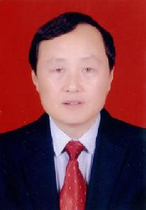 龐清明[陝西省安康市漢陰縣人大常委會副主任]