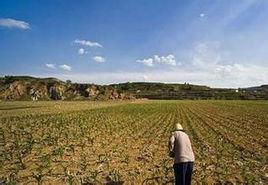 農村土地改革 農村土地改革
