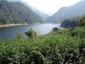 福建龍巖國家森林公園 福建龍巖國家森林公園