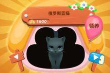 遊戲中的俄羅斯藍貓