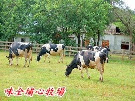味全埔心牧場