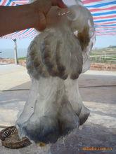 海蜇的傘部-白皮子