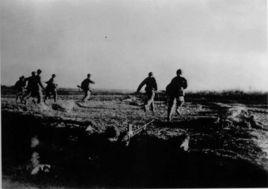 國民革命軍第五十九軍 國民革命軍第五十九軍