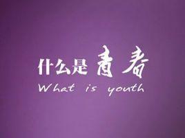 什麼是青春 什麼是青春