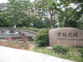 紫桂花園 紫桂花園