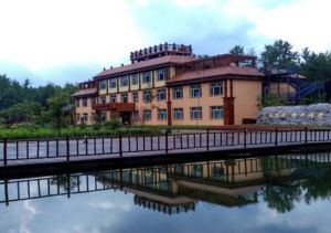 長白山野山參生態園