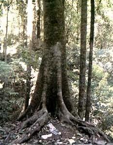 漢魏時期 漢魏時期