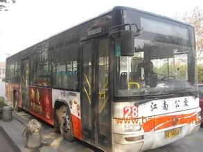 南京28路 南京28路