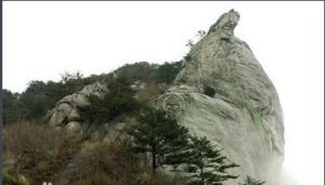 龜山[玉林市龜山公園]