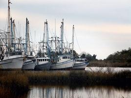 帕斯卡古拉事件