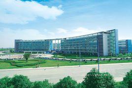 電子科技大學成都學院甘肅老鄉會 電子科技大學成都學院甘肅老鄉會