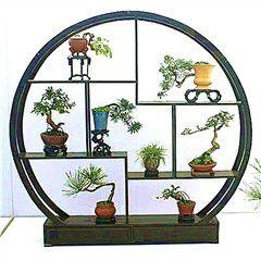 泰州盆景 泰州盆景