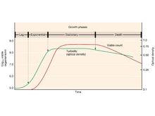 單細胞微生物的典型生長曲線