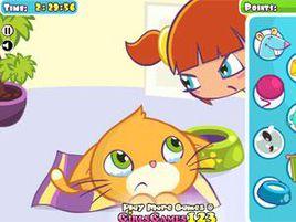 貪玩的小貓咪 貪玩的小貓咪