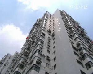 紅蓮小區 紅蓮小區