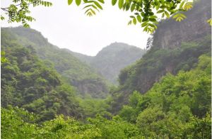 浙北大峽谷 浙北大峽谷