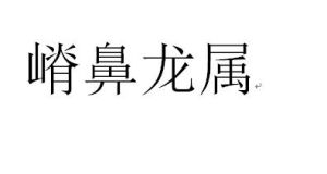嵴鼻龍屬 嵴鼻龍屬