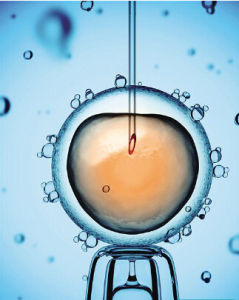 凍卵時光嬰兒 凍卵時光嬰兒